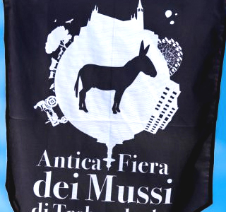 Antica Fiera dei Mussi Trebaseleghe 2025