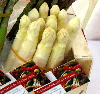 Asparagorgo Gorgo di Latisana 2025