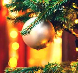 Aspettando Natale Ceriano Laghetto 2025