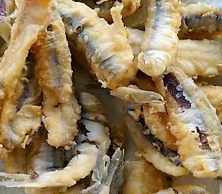 Azzurro Pesce d'Autore Andora (SV) 2024
