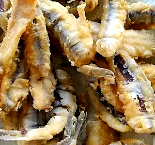 Azzurro, Pesce d'Autore Andora 2026