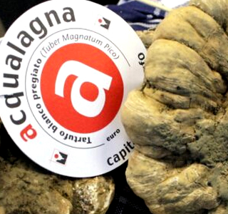 Carnevale al Tartufo Acqualagna (PU) Marche 2025