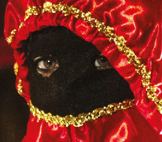 Carnevale Lavellese Lavello (PZ) 2024