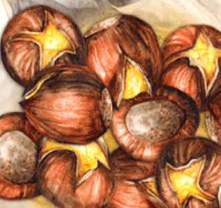 Castagnata Cassinelle 2025