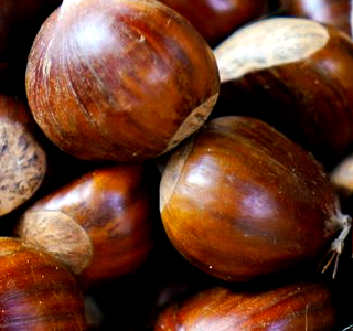 Castagnata e Sagra della Mostardella Vobbia 2025