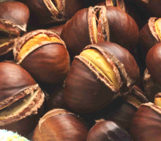 Castagnata in Piazza Smerillo (FM) 2023