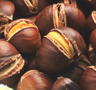 Castagnata in Piazza Smerillo (FM) 2025