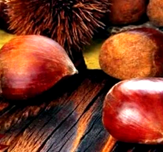 Castagnata Pontremoli 2025