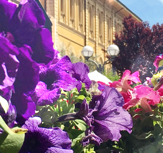 Cattolica in Fiore Cattolica 2026