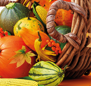 Dal Campat alla Piazza Maron 2025