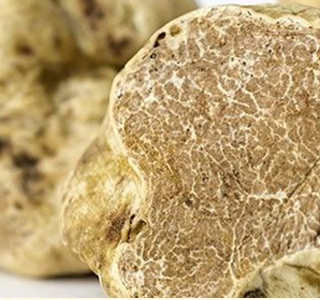 Diamanti a Tavola Amandola (FM) 2024