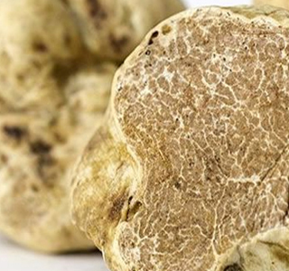 Diamanti a Tavola Amandola 2026