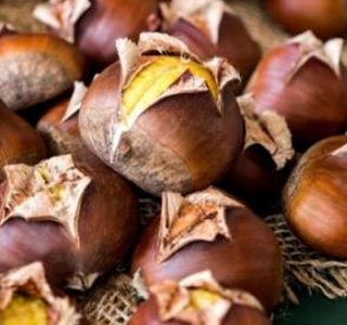 Festa d'Autunno Antrodoco 2025