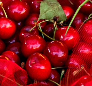 Festa de la Saresa Ceresara 2026