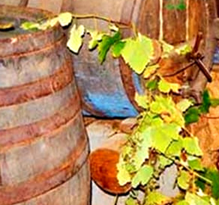 Festa dei Crotti di Albavilla (CO) 2024