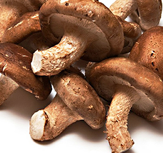 Festa dei Funghi Nervesa della Battaglia 2025