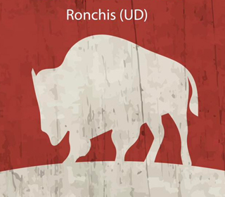 Festa del Bisonte con Polenta Ronchis 2023