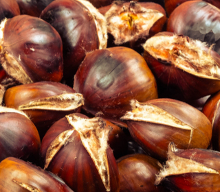 Festa del Castagno Sapori d'Autunno Trecastagni 2023