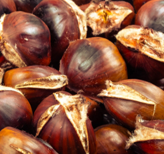 Festa del Castagno Sapori d'Autunno Trecastagni 2025