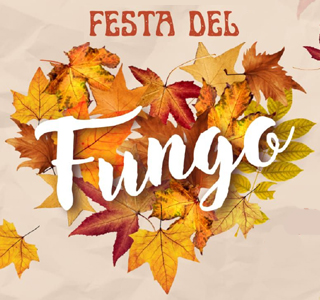 Festa del Fungo Castelsilano 2025