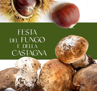 Festa del Fungo e della Castagna Pisogne 2025