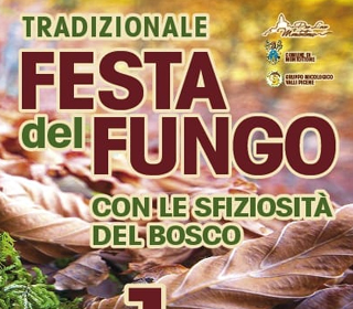 Festa del Fungo Montottone 2023