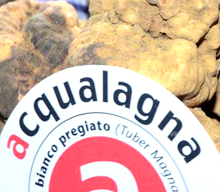 Festa del Lacrima e Tartufo Morro d'Alba 2023