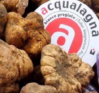 Festa del Lacrima e Tartufo Morro d'Alba 2025