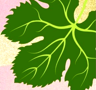 Festa del Pampano Meledo 2026