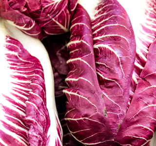 Festa del Radicchio di Asigliano Veneto 2025