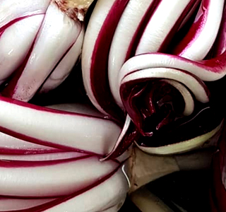 Festa del Radicchio Mirano 2026