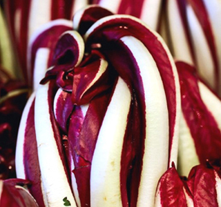 Festa del Radicchio Spresiano 2025