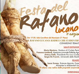 Festa del Rafano Lucano Corleto Perticara 2026