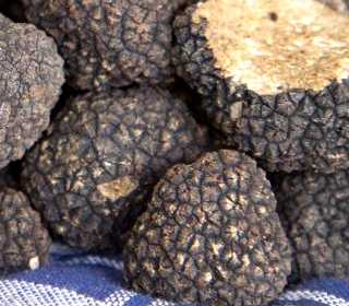 Festa del Tartufo Nero di Scagnello 2024