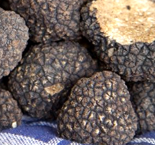 Festa del Tartufo Nero di Scagnello 2026