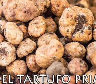Festa del Tartufo Primaverile Casola Valsenio 2024