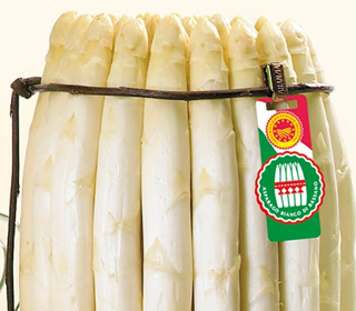 Festa dell'Asparago 