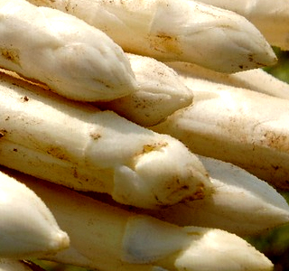 Festa dell'Asparago di Pernumia 2026