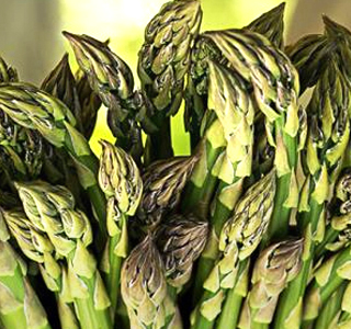 Festa dell'Asparago Selvatico Roscigno 2026