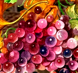 Festa dell'Uva Capoliveri (LI) 2025