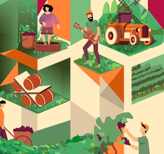 Festa dell'Uva e del Vino di Vo' (PD) 2024