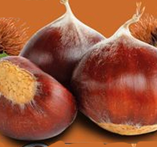 Festa della Castagna Ascrea (RI) 2024