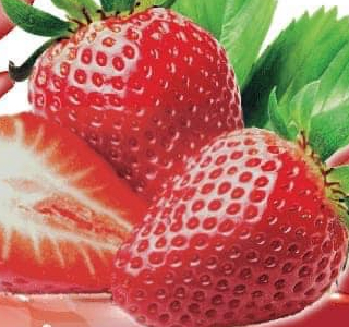 Festa della Fragola Acconia 2026