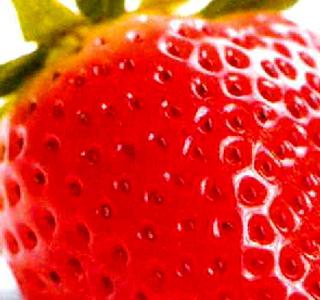 Festa della Fragola Bonavigo 2026