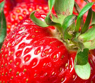 Festa della Fragola Parete (CE) 2024