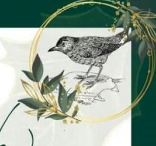 Festa della Merla Mestre 2026