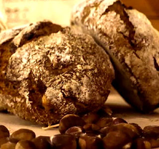 Festa della Micóoula Hone 2025