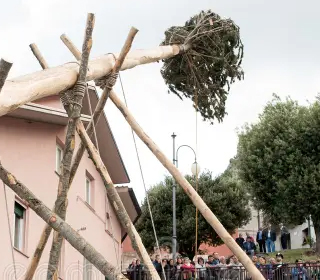 Festa della 'Ndenna Castelsaraceno 2024