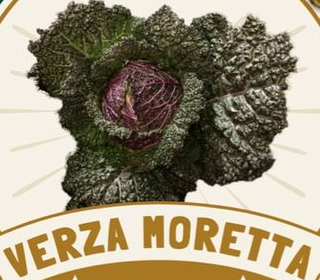 Festa della Verza Moretta di Veronella Veronella 2023
