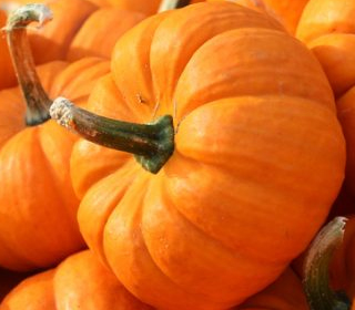 Festa della Zucca Gavirate 2023